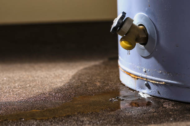 Best Local water damage restoration  in USA